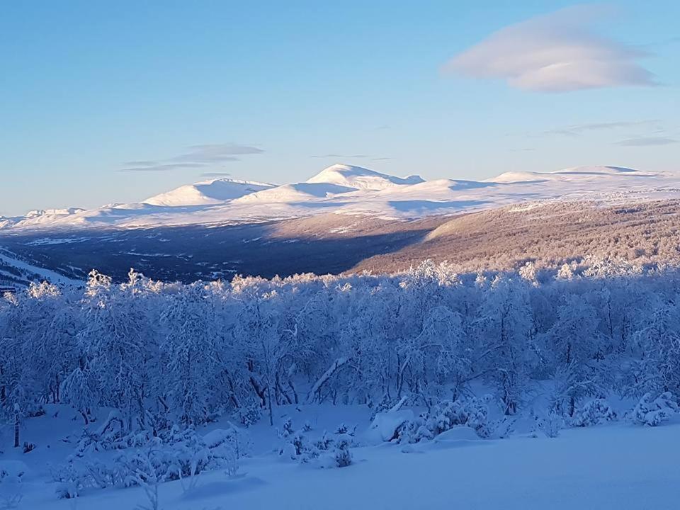 Bruksvallarna - Modern Fjaellstuga Med Panoramautsikt Och Wifi Экстерьер фото
