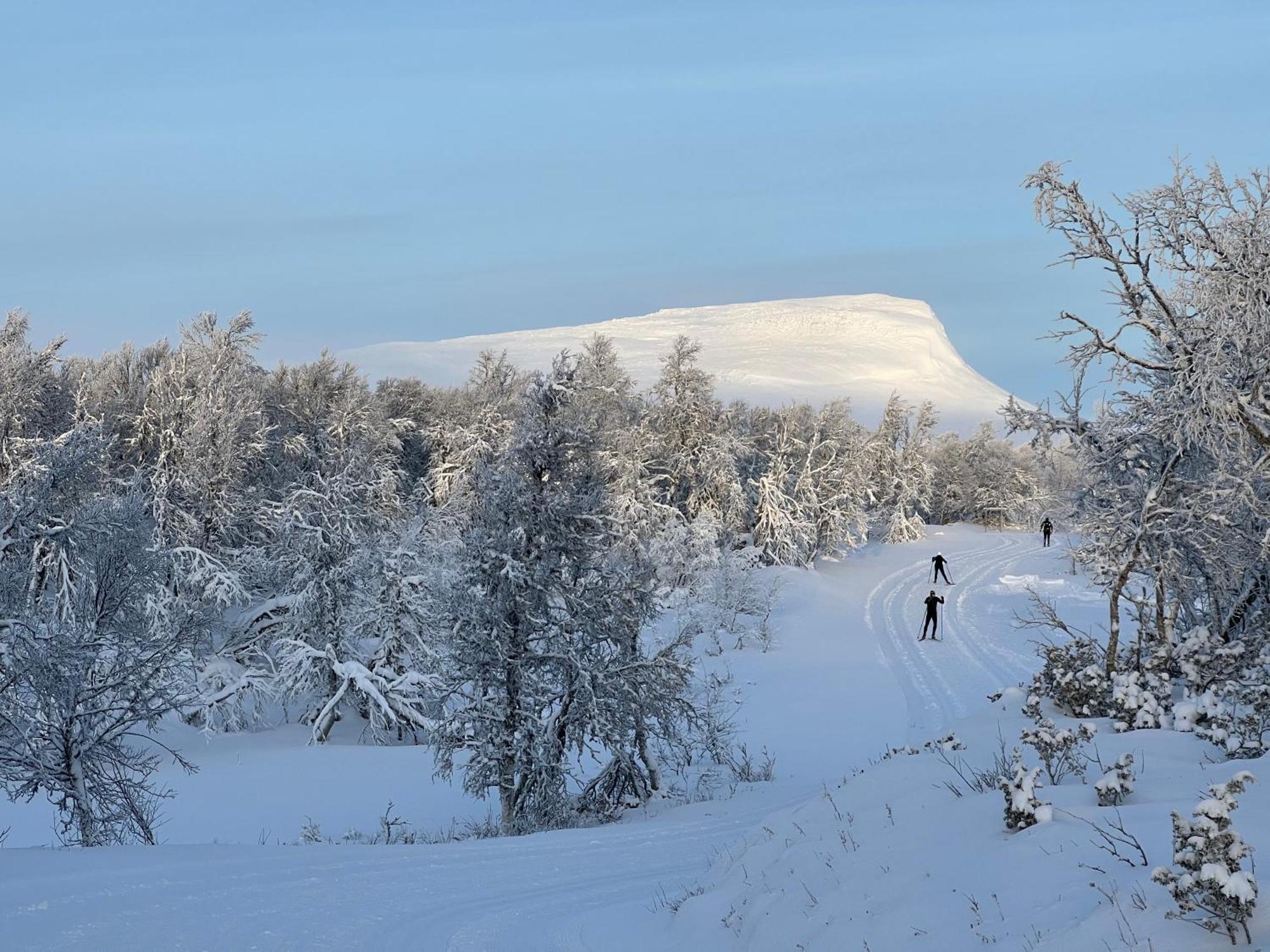 Bruksvallarna - Modern Fjaellstuga Med Panoramautsikt Och Wifi Экстерьер фото